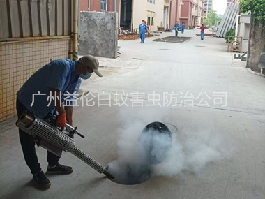 新华街道消灭蚊虫工程